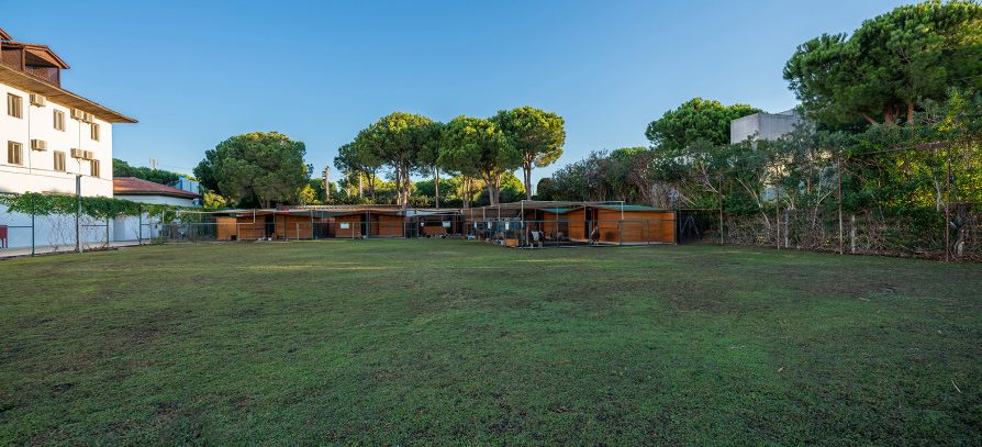 Selectum Family Resort Belek – Aile Çiftliği